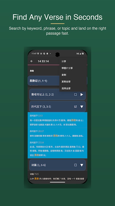 Word Rhythm: 和合本圣经 — screenshot 3