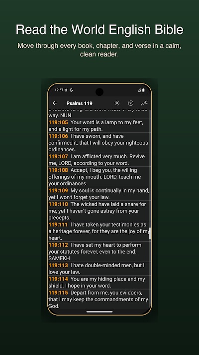 Word Rhythm: WEB Bible — screenshot 2